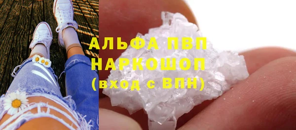 твердый Медногорск