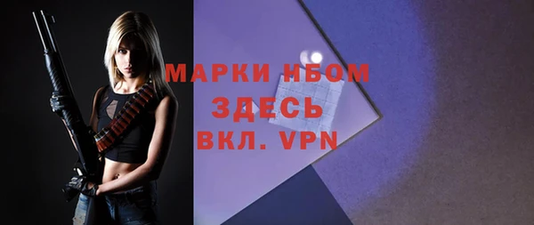 твердый Медногорск