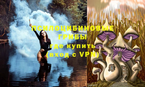 твердый Медногорск